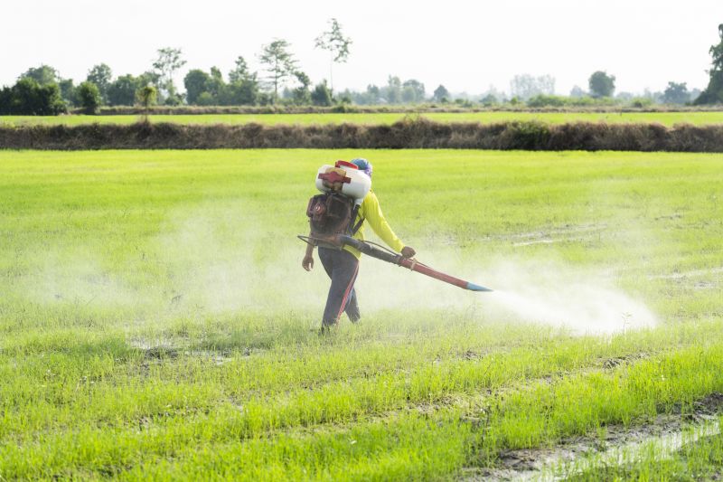 Commercial Fumigation in Monroe, NC