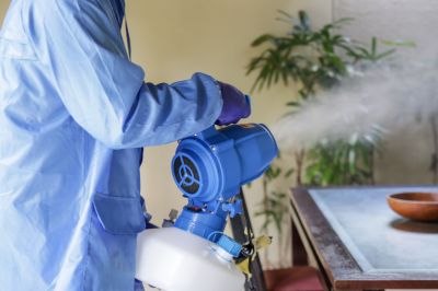 Commercial Fumigation in Rock Hill, SC