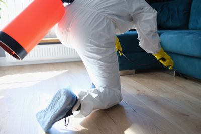 Fumigation Service in Denver, NC