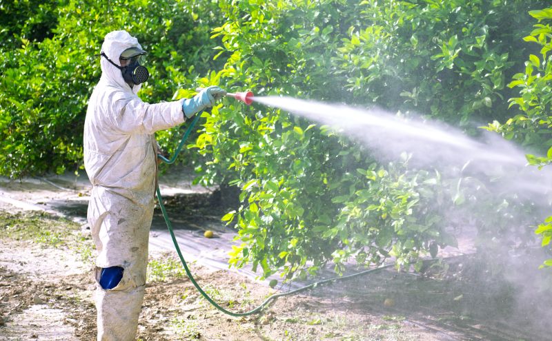 Fumigation Service in Locust, NC