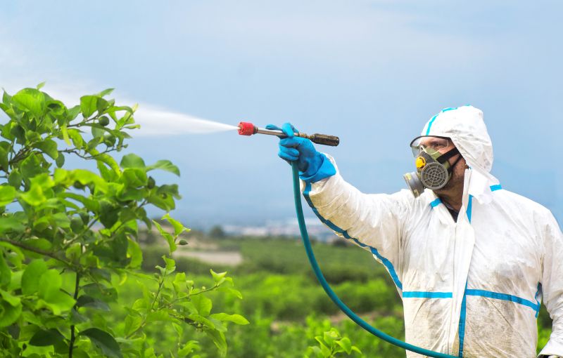 Fumigation Service in Mount Holly, NC
