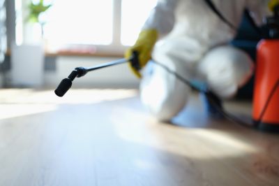 Pest Fumigation Service in Charlotte, NC