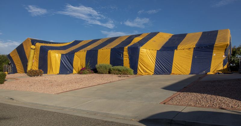 Residential Fumigation in Monroe, NC