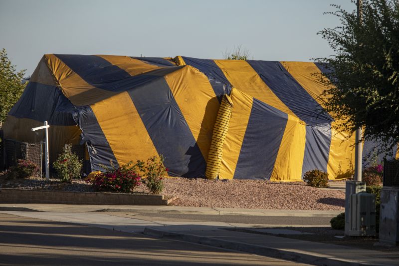 Termite Tenting in Charlotte, NC